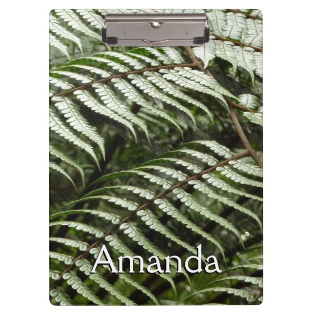 Porte-bloc Fern Fronds II Dark Green Nature (Devant)