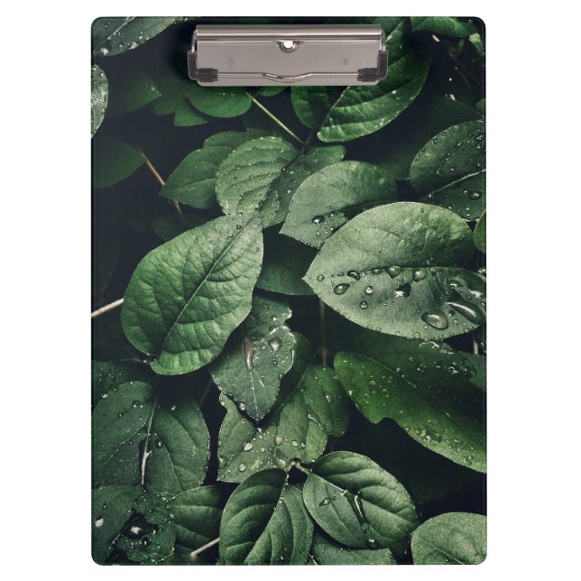 Porte-bloc Feuillage de feuille de la jungle verte profonde (Devant)