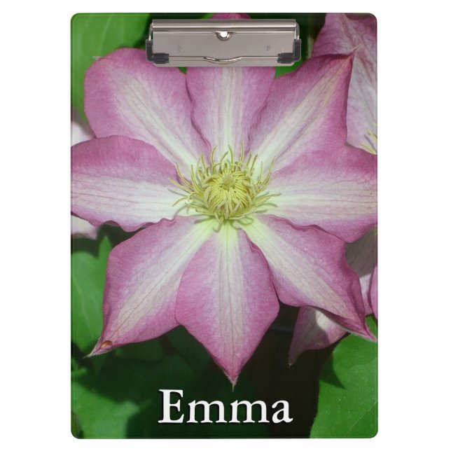 Porte-bloc Fleur de printemps Clematis rose et blanc (Devant)