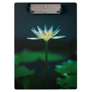 Porte-bloc Fleur Lily d'eau blanche