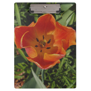 Porte-bloc fleur printanière rouge