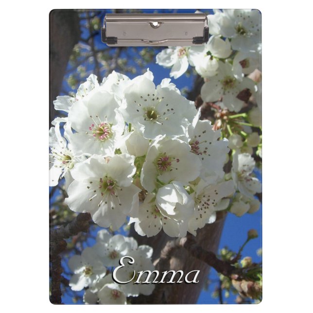 Porte-bloc Fleurs blanches I Poirier ornemental (Devant)