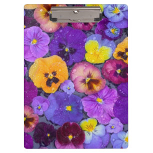 Porte-bloc Fleurs de sansonnet flottant dans un bain d'oiseau