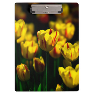 Porte-bloc Fleurs de tulipe jaune