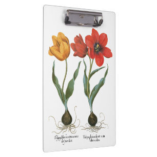 Porte-bloc Fleurs de tulipe printanière vintages par Basilius