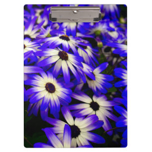 Porte-bloc Fleurs numériques Bleues et Blancs