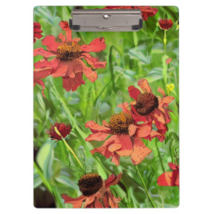 PORTE-BLOC FLEURS ROUGES RUDBECKIA