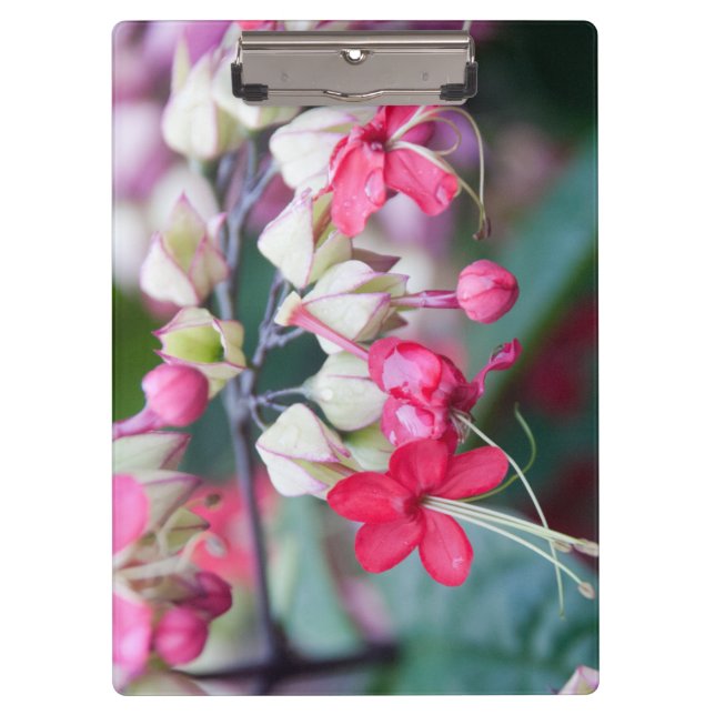 Porte-bloc Fleurs tropicales roses et blanches rouges (Devant)