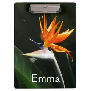 Porte-bloc Flower tropical orange paradise