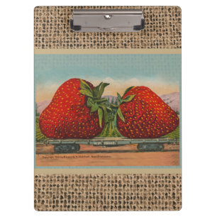 Porte-bloc Fraises Giant Fruit Antique Fruit Amusant