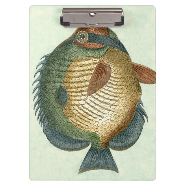 Porte-bloc Grand Poisson Coloré (Devant)