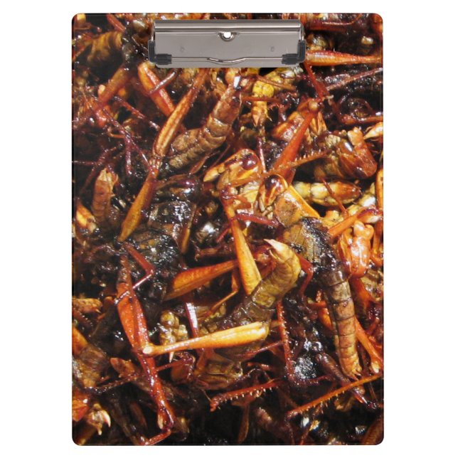 Porte-bloc Grasshopper frit (Takkataen Thot) Alimentation asi (Devant)