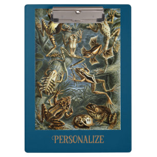 Porte-bloc Grenouille et crapaud Ernst Haeckel vintage