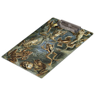 Porte-bloc Grenouilles et crapauds vintage Batrachia par Erns