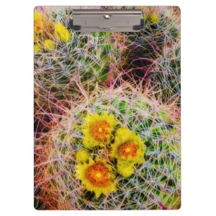 Porte-bloc Gros cactus baril, Californie