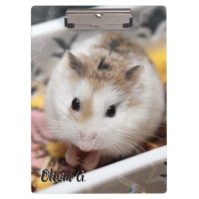 Porte-bloc Hammyville - Cute Hamster (Devant)