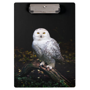 Porte-bloc Hibou des neiges majestueux d'hiver