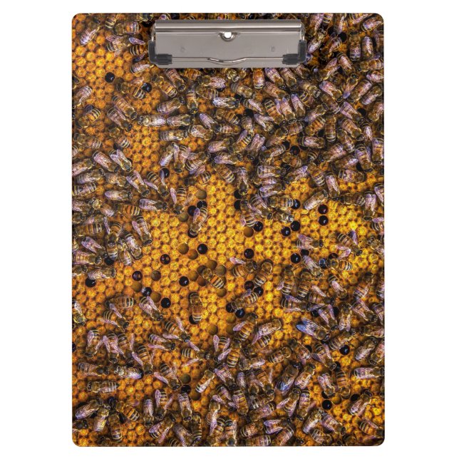 PORTE-BLOC HONEY BEES (Devant)