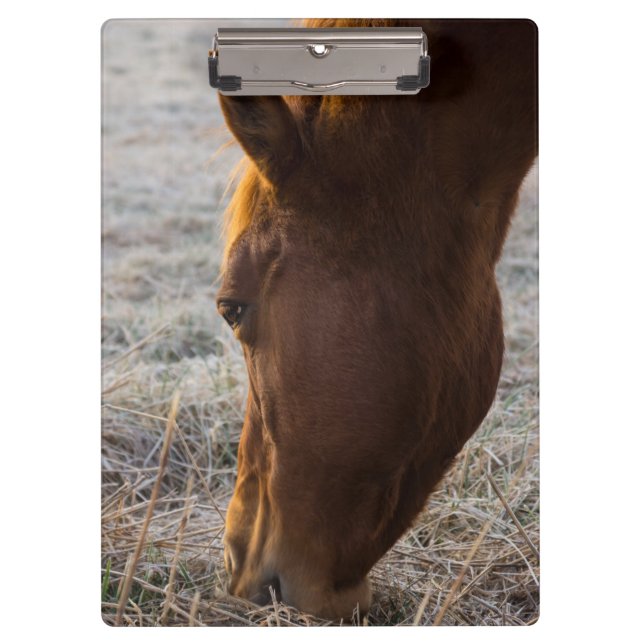 Porte-bloc Il Est Temps De Manger (Devant)