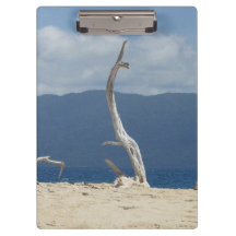 Îles Frankland - Australie