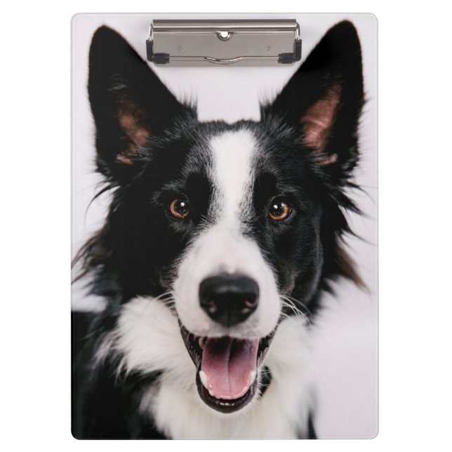 Porte-bloc Images de Getty | A border collie de sourire (Devant)