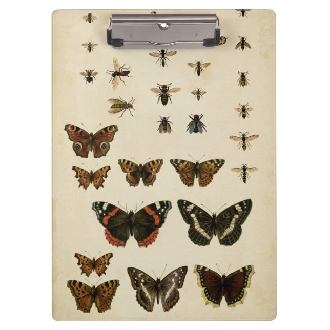Porte-bloc Insectes de jardin par Vision Studio (Devant)