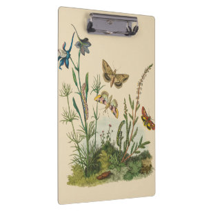 Porte-bloc Insectes de jardin vintage, papillons, chenilles