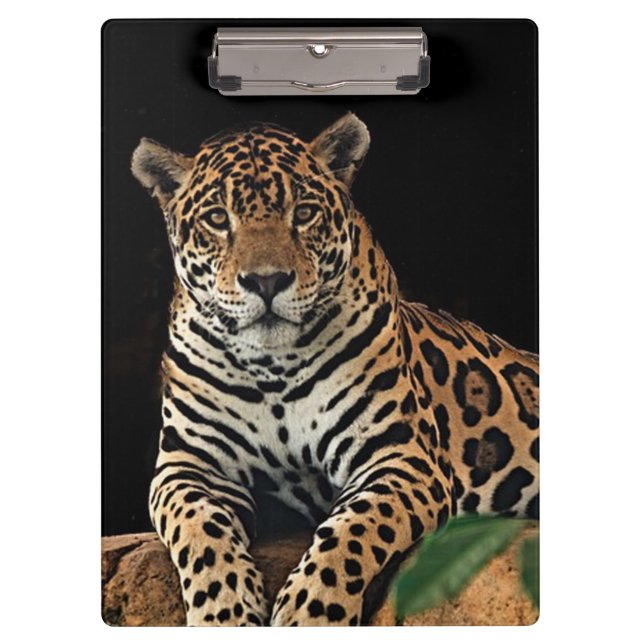 Porte-bloc Jaguar (Devant)
