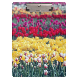 Porte-bloc Jardin de tulipes dans la vallée de Skagit,