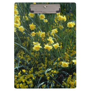 Porte-bloc Jardin plein de jonquilles jaunes