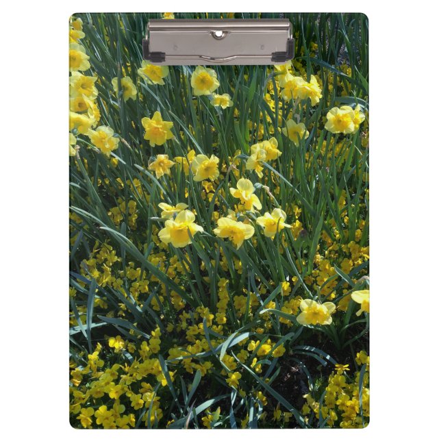 Porte-bloc Jardin plein de jonquilles jaunes (Devant)