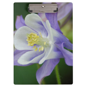 Porte-bloc Jolie fleur de Columbine