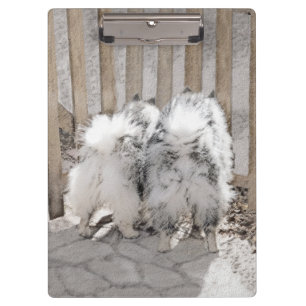 Porte-bloc Keeshonds at the Gate Painting - Original Dog Art