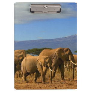 Porte-bloc Kilimanjaro et éléphants