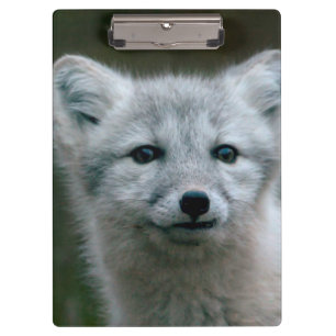 Porte-bloc Kit de Fox arctique des images   de Getty