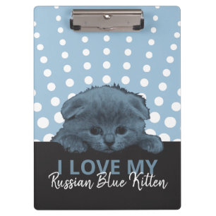 Porte-bloc Kitten bleu russe