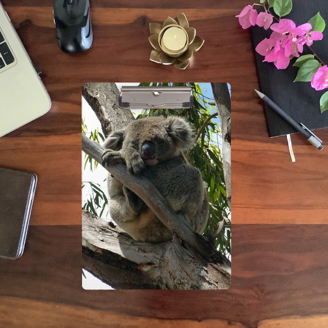 Porte-bloc Koala - Dormir (Créateur téléchargé)