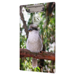 Porte-bloc Kookaburra Bird Australie Porte - bloc photographi