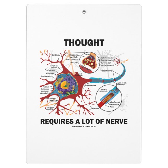 Porte-bloc La Pensée Nécessite Beaucoup De Synapse Neuronique (Dos)