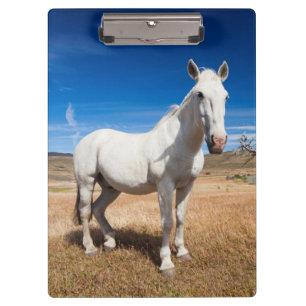 Porte-bloc Laguna Azul, paysage avec chevaux