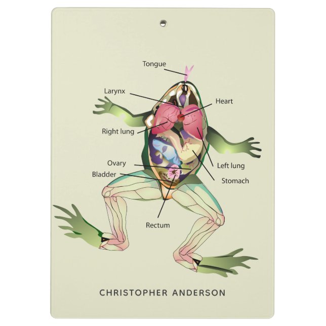 Porte-bloc L'anatomie de la grenouille personnalisée (Dos)