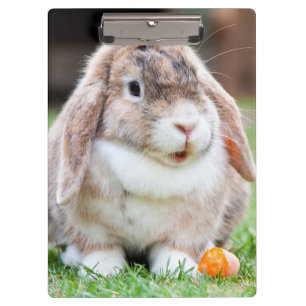 Porte-bloc lapin à oreilles de lop mignon