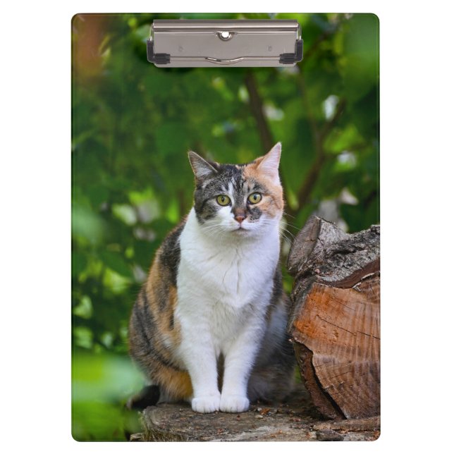 Porte-bloc Le Chat      (Devant)