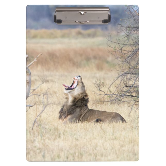 Porte-bloc Lion de Yawning (Devant)