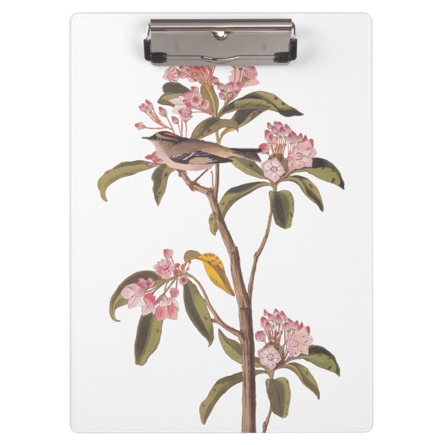 Porte-bloc L'Oiseau de couvier d'Audubon sur Calico Rose (Devant)