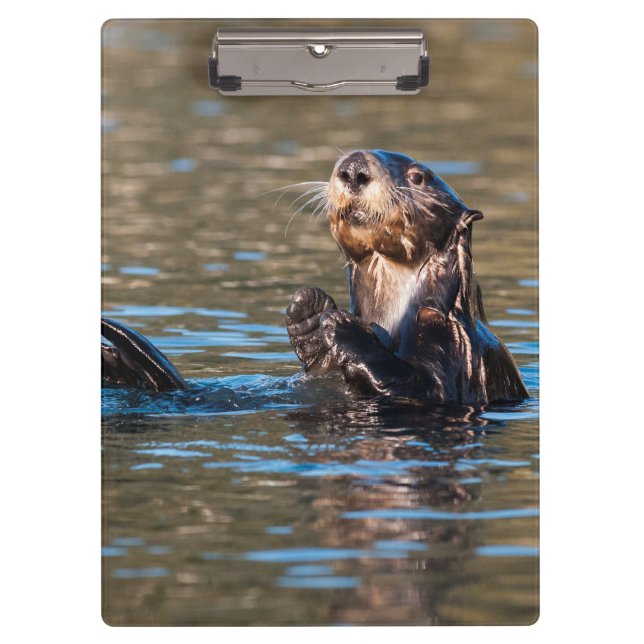 Porte-bloc Loupe de mer ensoleillée (Devant)