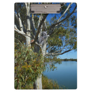 Porte-bloc L'Ours De Koala Dormait Dans Un Arbre De Gomme,