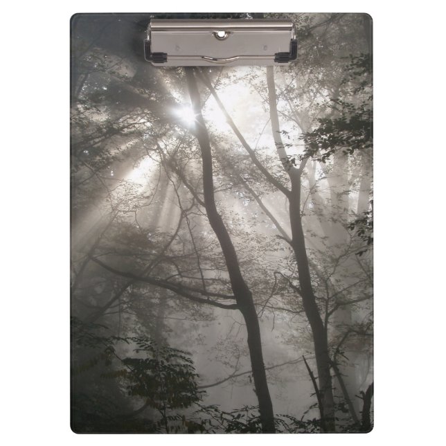 Porte-bloc Lumière Solaire À Travers Les Arbres Bois Sombre (Devant)