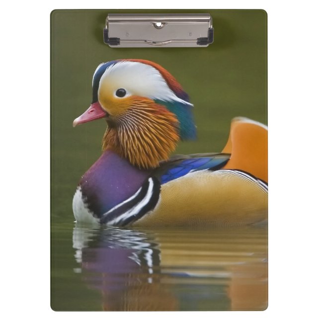 Porte-bloc Mandarin sauvage Aix galericulata) sur le noir (Devant)