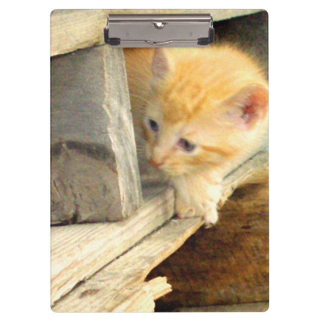 Porte-bloc Meow Cats 1 Porte - bloc (Devant)